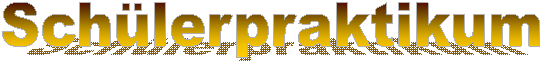 Schlerpraktikum
